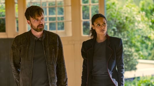 Image Almas de Metal (Westworld) 2