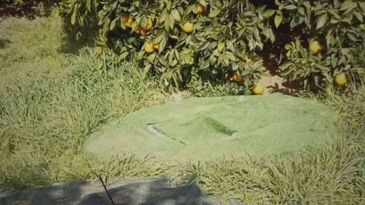 Image Equipo de Investigación 16