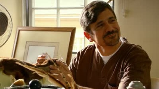 Image NCIS Los Angeles 7