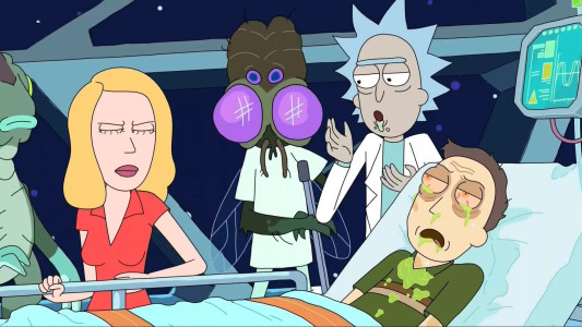 Image Rick and Morty 8