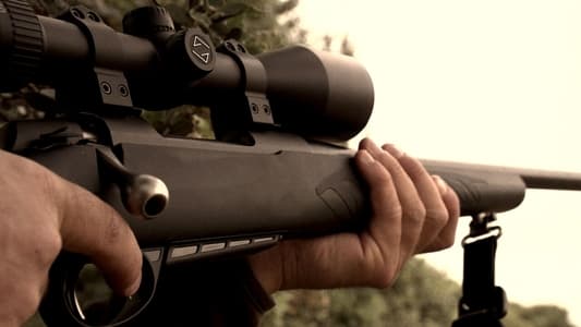 Image Equipo de Investigación 31