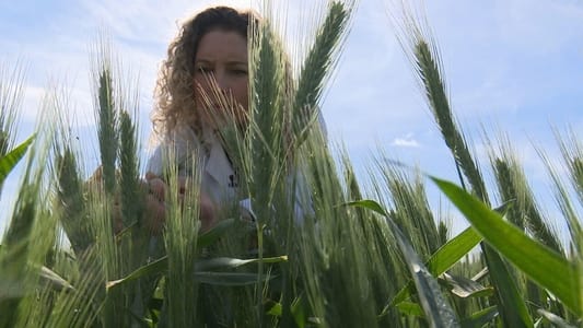 Image Equipo de Investigación 29