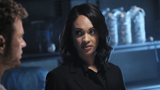 Image El Tirador (Shooter) 7