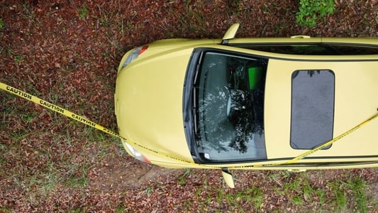 Image Murdaugh Murders: A Southern Scandal 3