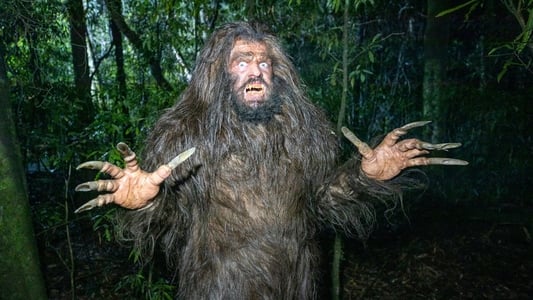 Image Wellington Paranormal 2