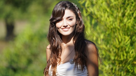 Image Love is in the Air 4