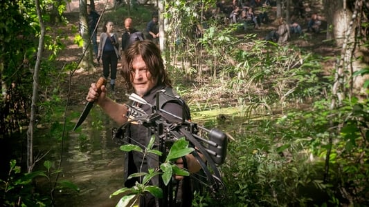 Image The Walking Dead 11
