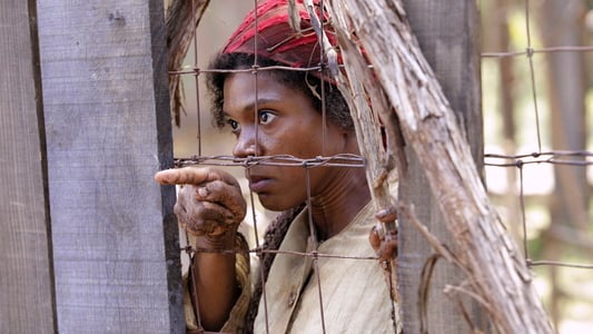 Image El pájaro carpintero 2