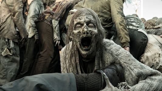 Image The Walking Dead 24