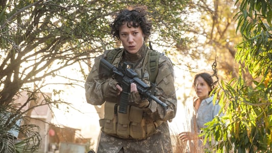 Image Professionals 6