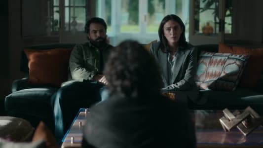 Image Insomnia (2024) 3