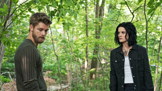 Image Blindspot 3