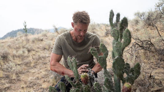 Image Tracker (2024) 4