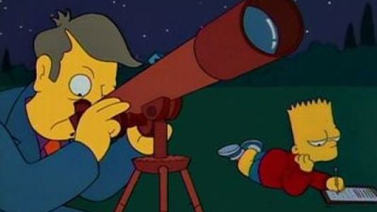 Image Los Simpsons 14