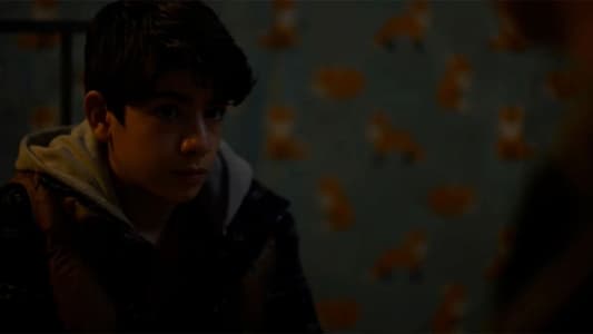 Image Venecia: Red criminal 5