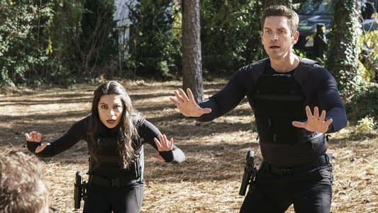 Image True Lies (Mentiras arriesgadas) 9