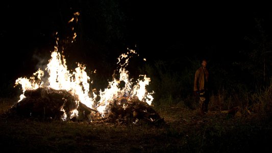 Image The Walking Dead 4