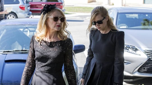 Image Sharp Objects 2