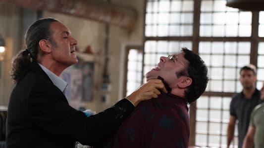 Image 4 estrellas 74