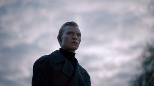 Image Cowboy de Copenhague 4