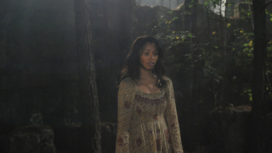 Image Crónicas vampíricas (The Vampire Diaries) 9