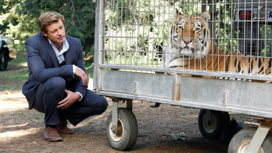 Image El Mentalista 18