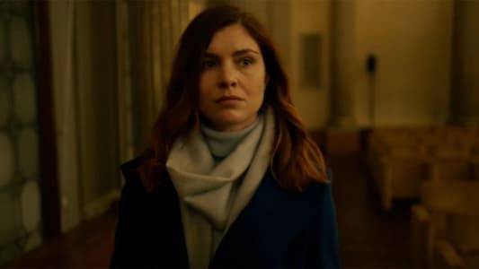 Image Venecia: Red criminal 8