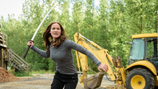 Image Van Helsing 12