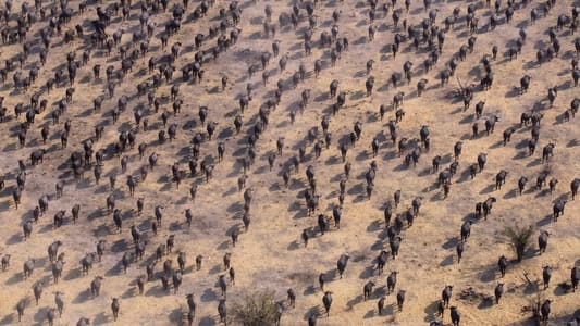 Image Nuestro planeta (Our Planet) 1