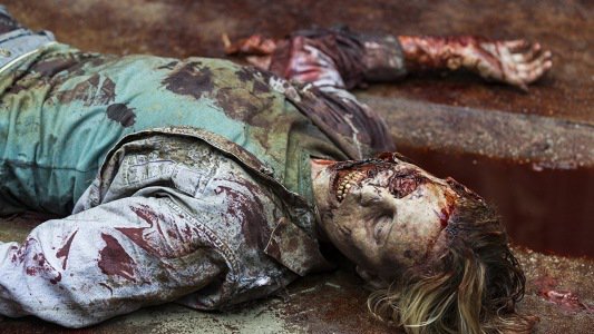 Image The Walking Dead 8