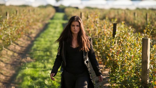 Image Los 100 (The 100) 3