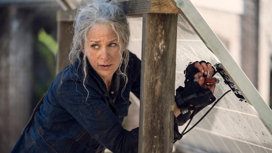 Image The Walking Dead 21