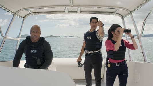 Image NCIS Hawaii 6