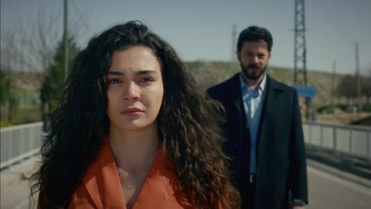 Image Hercai 3