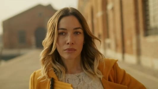 Image Venecia: Red criminal 4