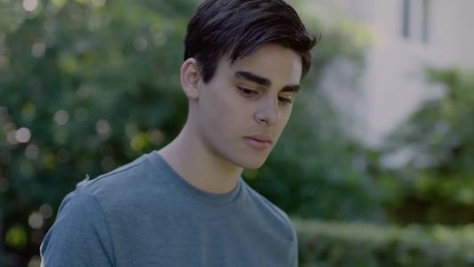 Image Safe Harbour 2