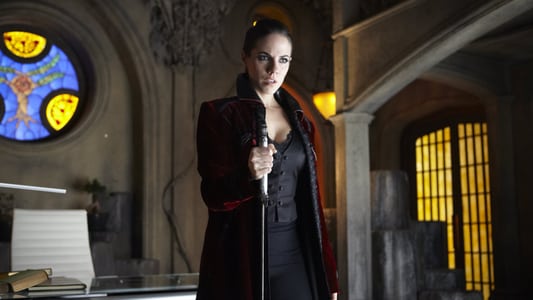 Image La reina de las sombras 13