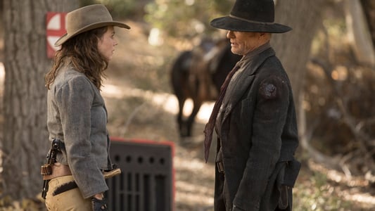 Image Almas de Metal (Westworld) 9