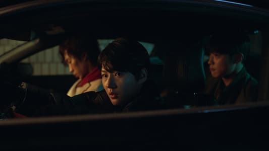 Image Perros de caza 3