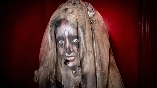 Image Wellington Paranormal 3