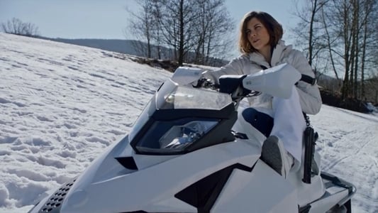 Image Whiskey Cavalier 13