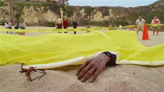 Image NCIS Los Angeles 2