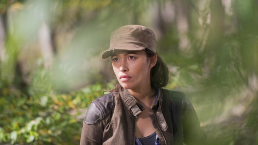 Image The Walking Dead 15