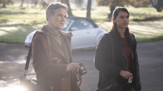 Image Art Detectives 3