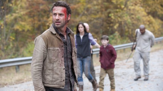 Image The Walking Dead 13