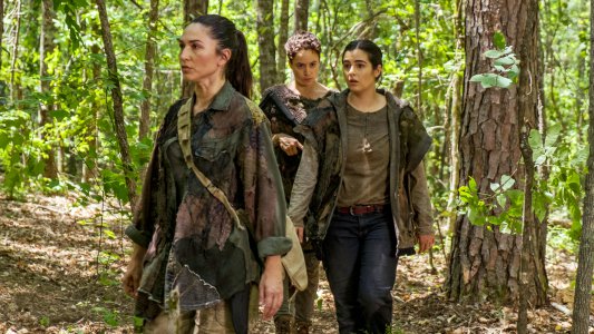 Image The Walking Dead 6