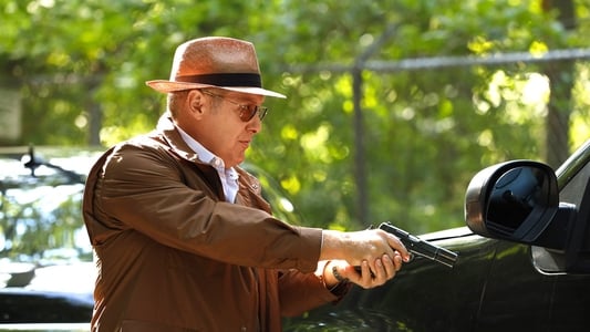 Image The Blacklist 5