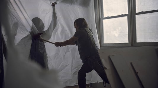 Image The Walking Dead 13