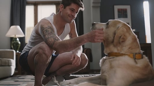 Image Desaparecidos La serie 6