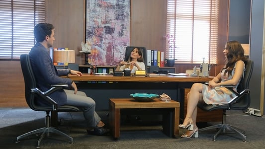 Image Trampa de amor (Afili Ask) 15